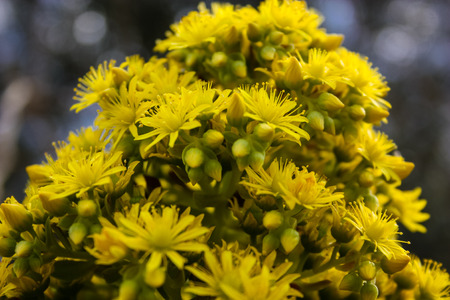 Landscape and nature at the White Valley near Jerusalem, part of the Israeli National Trekの写真素材