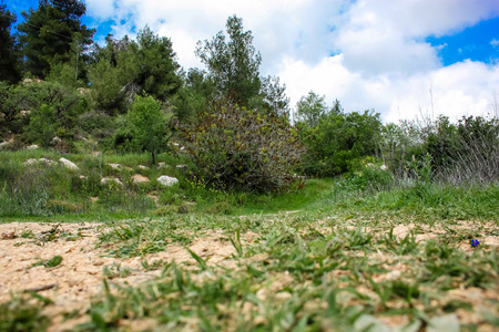 Landscape and nature at the White Valley near Jerusalem, part of the Israeli National Trekの写真素材