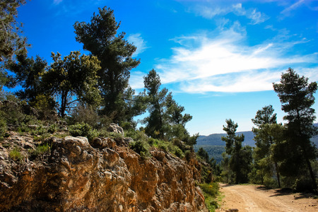 Nature and landscape around Jerusalem in Israelの写真素材