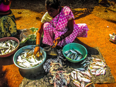 Unknowns people working at the Gokarna fish market Karnataka India December 19, 2017 morningのeditorial素材