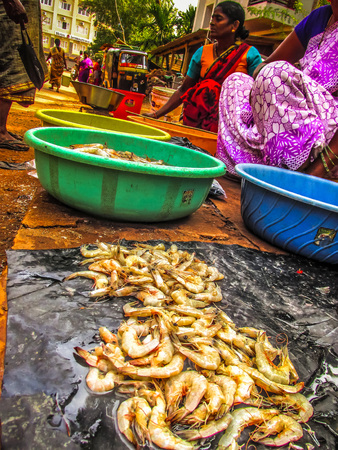 Unknowns people working at the fish market Gokarna Karnataka India December 19, 2017 morningのeditorial素材