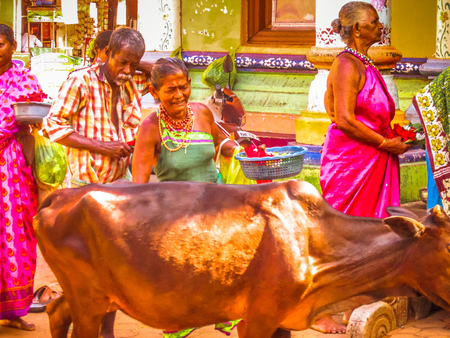 Unknowns people selling flowers on the Ganapati temple Gokarna Karnataka India November 22, 2017...