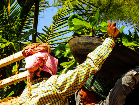 Unknown worker unloading sand from a truck at Gokarna Karnataka India December 4, 2017 morningのeditorial素材