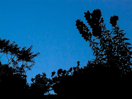 Nature in Jerusalem city Israelの写真素材