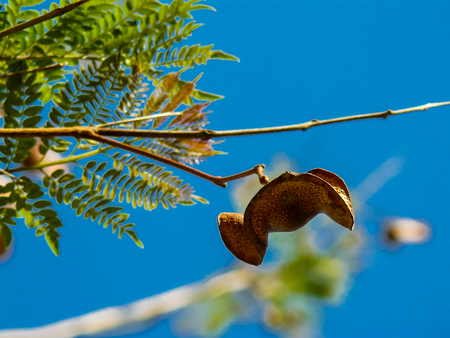 View of treesの写真素材