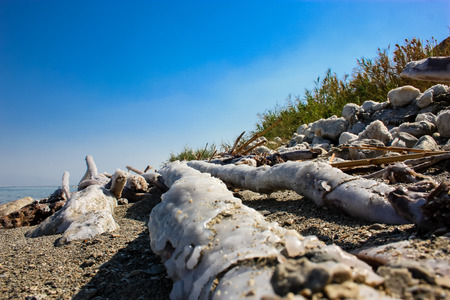 Closeup of salt crystals from the Dead Seaの写真素材