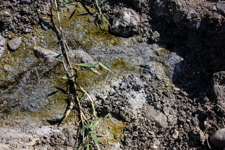 Closeup of salt crystals from the Dead Sea
