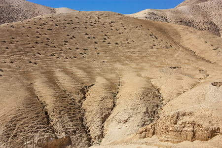 Landscape of the Negev desert