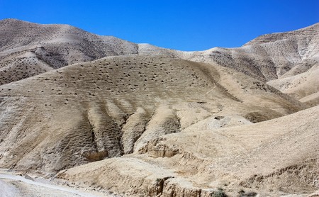 Landscape of the Negev desert
