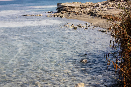 Nature and view of the Dead Seaの写真素材