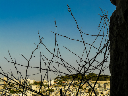 Jerusalem Israel April 16, 2018 Panoramic view of the city of Jerusalem on afternoonのeditorial素材