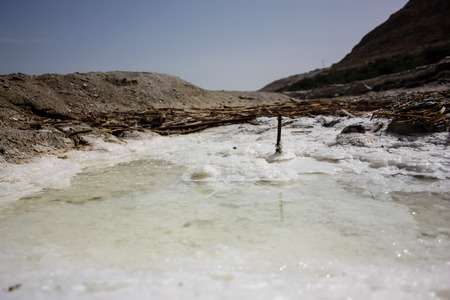 View of the nature of the Dead Sea area in Israelの写真素材