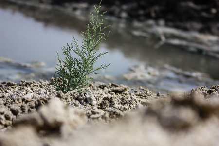 View of the nature of the Dead Sea area in Israelの写真素材