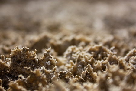 View of the nature of the Dead Sea area in Israelの写真素材