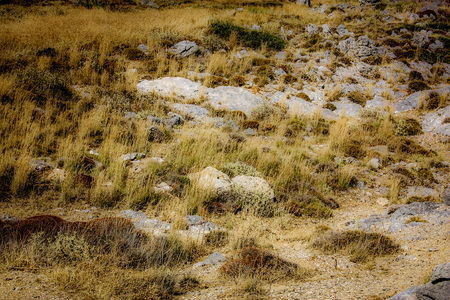View of the nature and landscape of Crete islandの写真素材