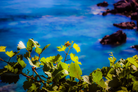 View of the nature and landscape of Crete islandの写真素材
