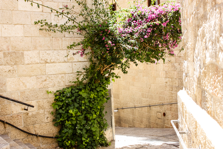 Jerusalem Israel May 21, 2018 View of the street of the old city of Jerusalem in the Jewish quarter in the eveningのeditorial素材