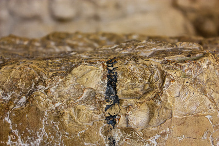 Jerusalem Israel May 21, 2018 View of the Western Cardo in the old city of Jerusalemの写真素材