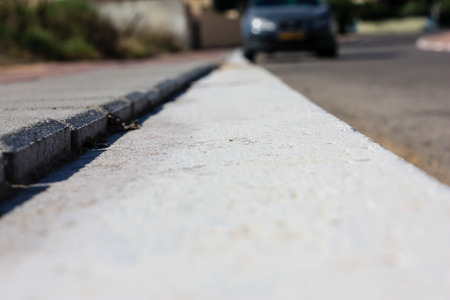 closeup of flowers in the street of Jerusalem in Israelの写真素材