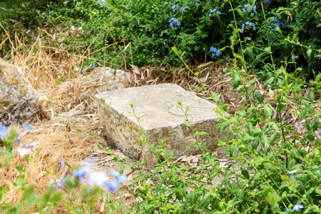 Jerusalem Israel May 28, 2018 View of an old abandoned Arab cemetery in the center of the city of Jerusalemのeditorial素材