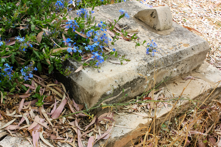 Jerusalem Israel May 28, 2018 View of an old abandoned Arab cemetery in the center of the city of Jerusalemのeditorial素材