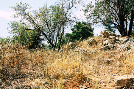 Nature and landscape around Jerusalem in Israelの写真素材