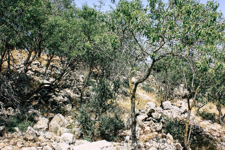 Nature and landscape around Jerusalem in Israel
