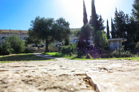 Jerusalem israel June 09, 2018 View of the street of Jerusalem from the ground level in the afternoonのeditorial素材