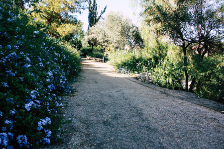 view of the Teddy Park Garden in Jerusalem Israel