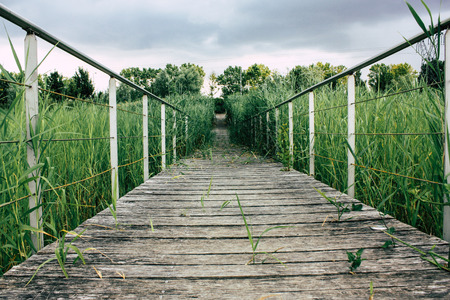 View of a wood bridge from the ground level near Reims in France