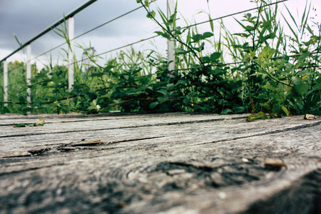 View of a wood bridge from the ground level near Reims in Franceの写真素材