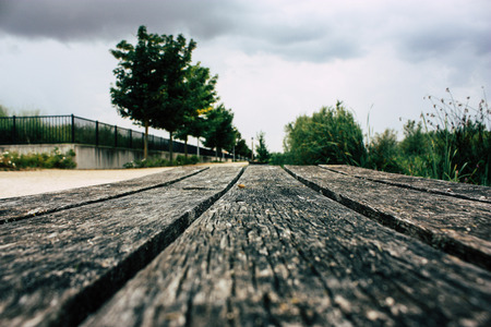 View of the landscape from the ground level near Reims in Franceの写真素材