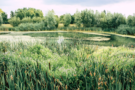 View of a pond and nature near Reims in Franceの写真素材