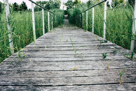 View of a wood bridge from the ground level near Reims in France