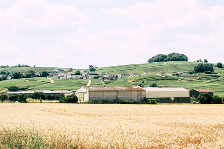 View of the landscape near Reims in Franceの写真素材
