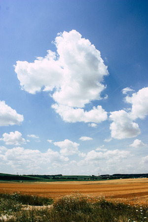 View of the landscape near Reims in Franceの写真素材