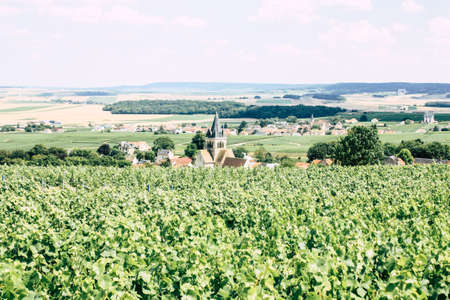 Villedommange France July 07, 2018 View of Champagne vineyards under a cloudy sky in the afternoonのeditorial素材