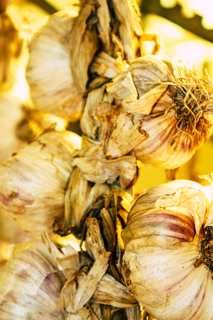 View of garlics sold at the market in Reims Franceの写真素材