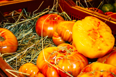 Reims France July 14, 2018 View of vegetables and fruits sold at the Reims market in the morningのeditorial素材