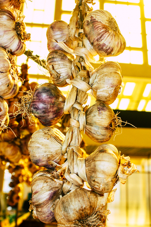 View of garlics sold at the market in Reims Franceの写真素材