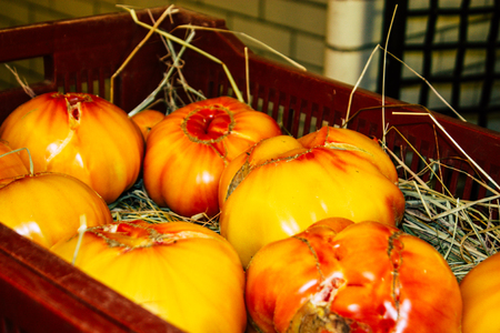 Reims France July 14, 2018 View of vegetables and fruits sold at the Reims market in the morningのeditorial素材