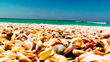 View of a wild beach in Israel