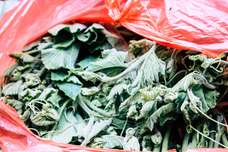 Kathmandu Nepal August 21, 2018 Closeup of various vegetables sold at the market in Thamel street in Kathmandu in the morningの写真素材