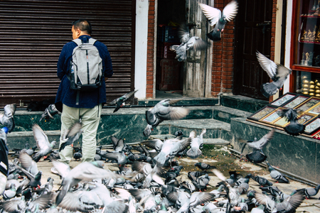 Kathmandu Nepal August 24, 2018 View of pigeons flying around the Shree Gha Stupa Temple located in Naghal district between Thamel and Durbar square in Kathmandu in the morningのeditorial素材