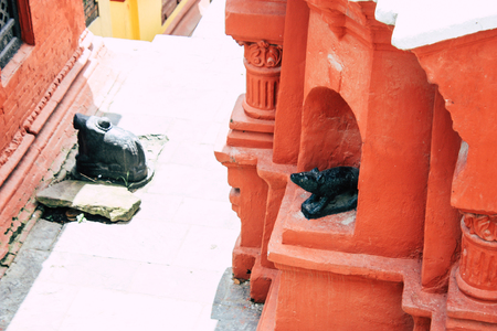 Kathmandu Nepal August 27, 2018 View of the Pashupatinath temple in the morningのeditorial素材