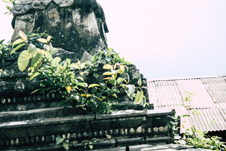 Kathmandu Nepal August 27, 2018 View of the Pashupatinath temple in the morningのeditorial素材
