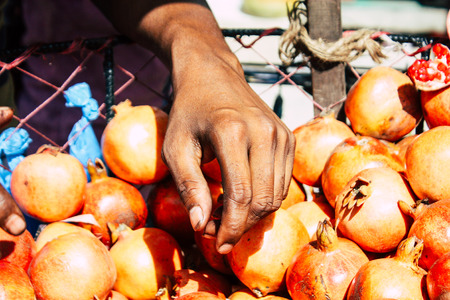 Kathmandu Nepal September 1, 2018 Closeup of a hand of unknown Nepali people selling fruits at the street vegetable market in Chhetrapati square Kathmandu in the morningのeditorial素材