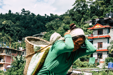 Pokhara Nepal September 23, 2018 Closeup of Nepalese porter carrying sand for construction of a new house in Pokara Lakeside in the afternoonのeditorial素材
