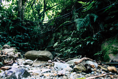 Pokhara Nepal September 25, 2018 View of a path in the jungle in Pokhara hills Nepalの写真素材