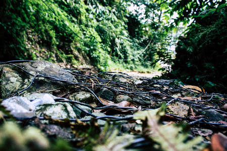 Pokhara Nepal September 25, 2018 View of a path in the jungle in Pokhara hills Nepal